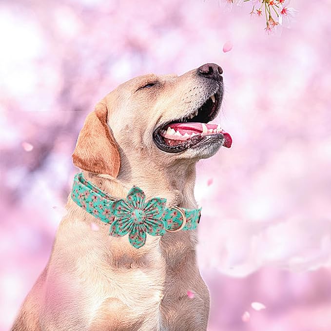 Elegant little tail Dog Collar, Spring Pet Collar with Flower Dog Durable Pink Flower Print Dog Collars Girl Pet Gift Adjustable Dog Collar for Large Dogs