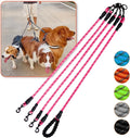 4 Way No Tangle Dog Leash - 360° Swivel Leash for Four Dogs, Reflective Design for Small Medium Large Dogs (Pink, 4 Way)