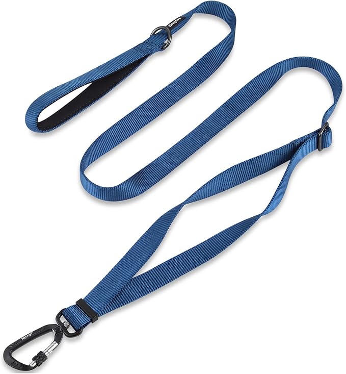 Hyhug Nylon Adjustable 4-6ft Dog Leash with Soft Neoprene Padded Handle, Durable Heavy Duty Leash with Easy-to-Use Bolt Snap, Ideal for Jogging Outdoor