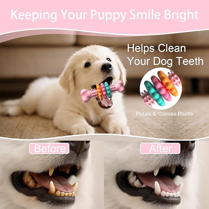 Puppy Chew Toys, Indestructible Dog Toys for Aggressive Chewers - Small & Medium Breed, Durable Rubber Chew Bone Toy for Small Dogs, Puppy Toys for Teething, Anxiety & to Keep Busy