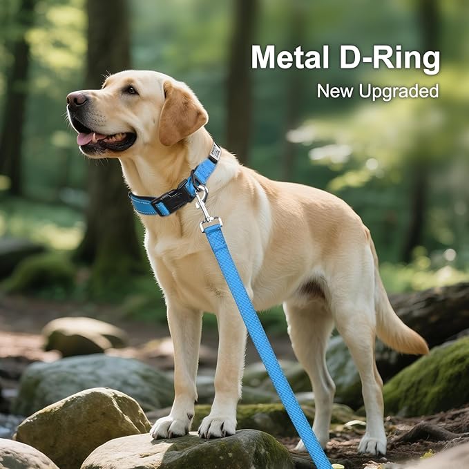 Joytale Personalized Dog Collars with Engraved Name Plate, Silent No Jingle Custom Nylon Collar with Fixed ID Tag, Reflective Soft Neoprene Padded Breathable for XLarge Dogs, Sky Blue