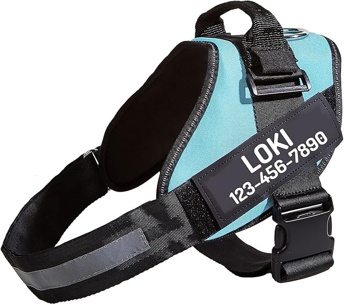 PawPawify Personalized No Pull Dog Harness with 2 Custom Name & Phone Patches, Reflective Breathable Pet Vest for Walking Training, Adjustable Heavy Duty Service Dog Vest for Small Medium Large Dogs