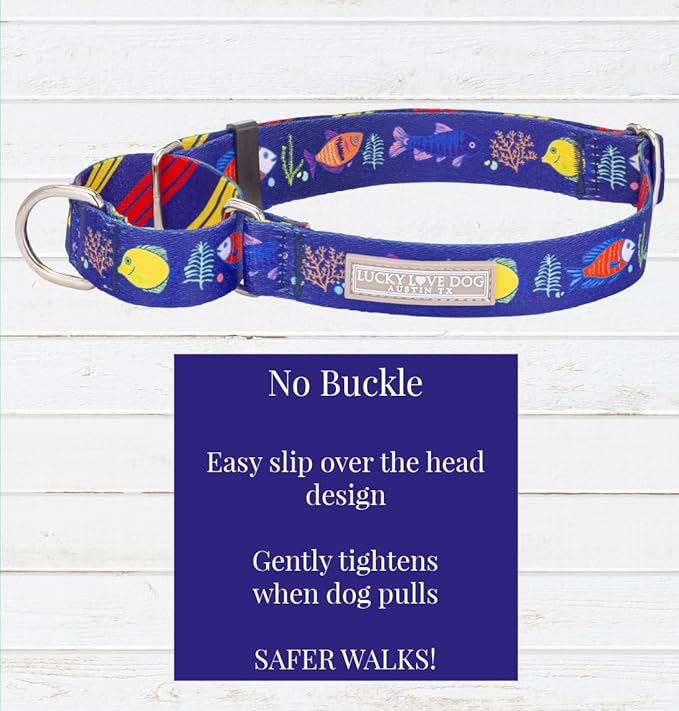 Lucky Love Dog Tropical Fish Pattern Martingale Collar and Leash Set, Blue Color No Slip Collars for Medium Dogs, Great for Whippets, Greyhounds, and More (Mackey, Medium - Combo)