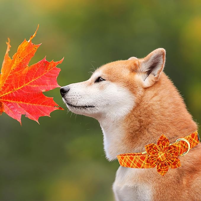 Elegant Tail Fall Little Dog Collar, Halloween Plaid with Flower Girl Boy Pet Collar for X-Small Dogs