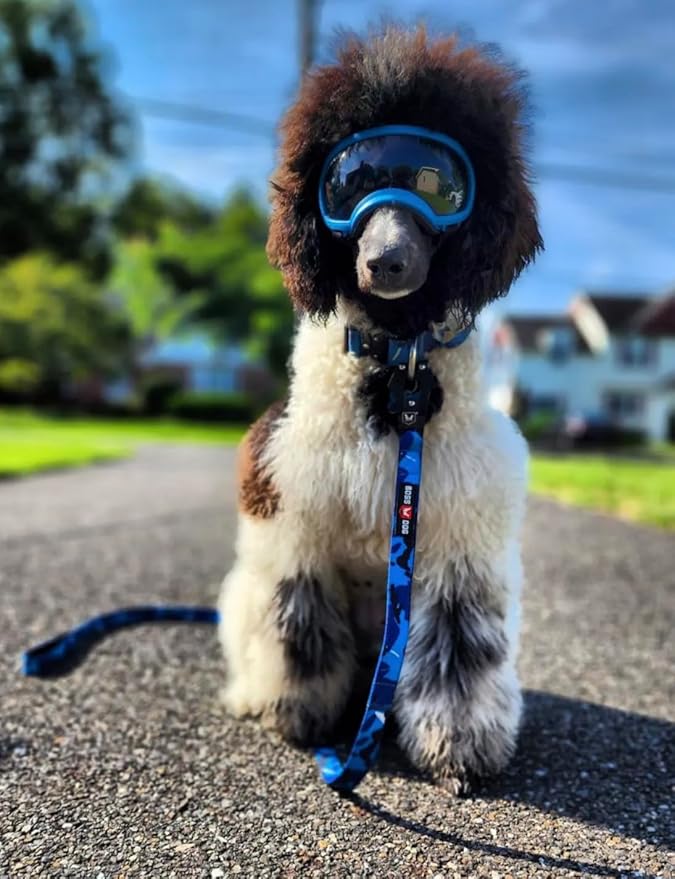 Boss Dog Tactical Leash, Blue Camo, 6 FT