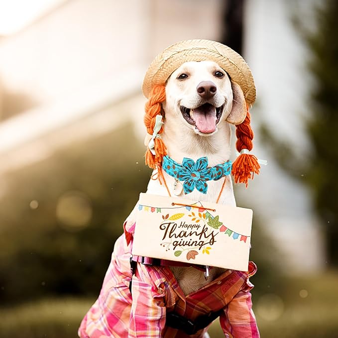 Elegant Little Tail Dog Collar with Thanksgiving Turkey Print, Flower Dog Flowers Holiday Pet Collar for Medium Dogs
