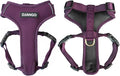 DJANGO Adventure Dog Harness - Stylish, and Durable Small Dog Harness for Outdoor Adventures and Everyday Wear - Plum Purple Neoprene Adjustable Harness for Dogs with Reflective Piping, Brass D-Ring