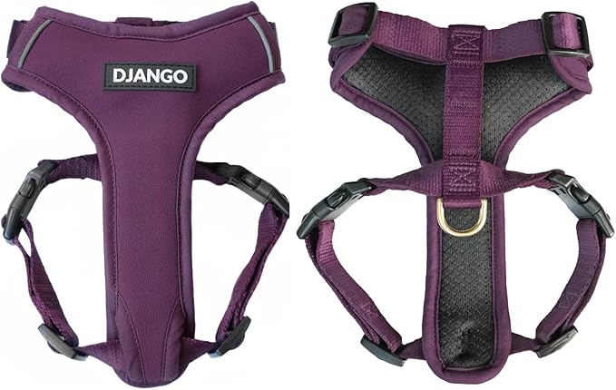 DJANGO Adventure Dog Harness - Stylish, and Durable Small Dog Harness for Outdoor Adventures and Everyday Wear - Plum Purple Neoprene Adjustable Harness for Dogs with Reflective Piping, Brass D-Ring