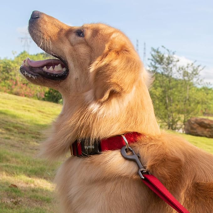 Hyhug Nylon Adjustable 4-6ft Dog Leash with Soft Neoprene Padded Handle, Durable Heavy Duty Leash with Easy-to-Use Bolt Snap, Ideal for Jogging Outdoor
