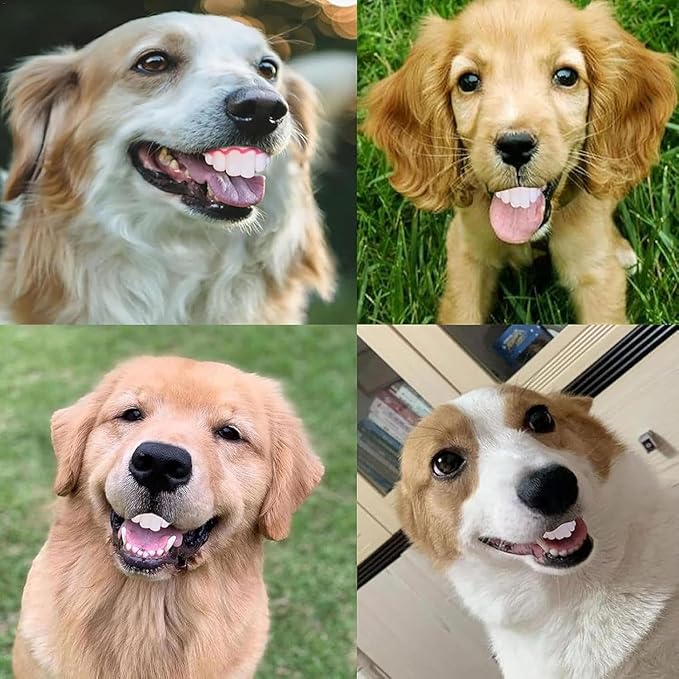 A Set of 8pcs Spoof Teeth Fake for Dogs,Funny Silicone Teeth Braces,Creative Fake Chew Toys, Easy to Apply Dog Toy,Interactive Toys,Dog Christmas Costume Suitable Accessories
