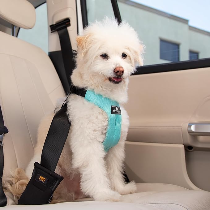 Clickit Sport Plus - Crash-Tested and Safety Certified Car Seat Belt Harness for Dogs (Medium, Robin Egg Blue)