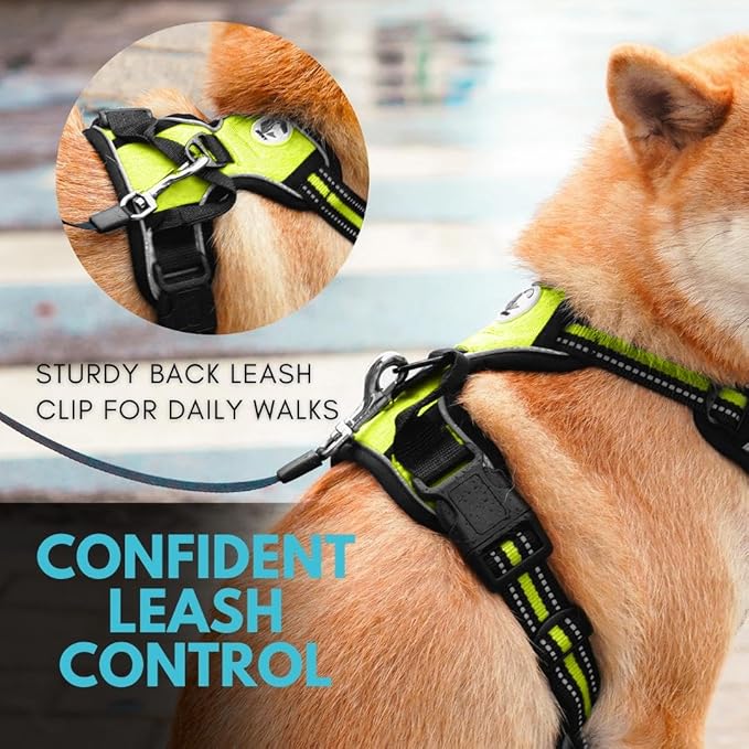 Ziggy Pet Dog Harness Adjustable Nylon Mesh Vest with Leash Clips (Green, Small)