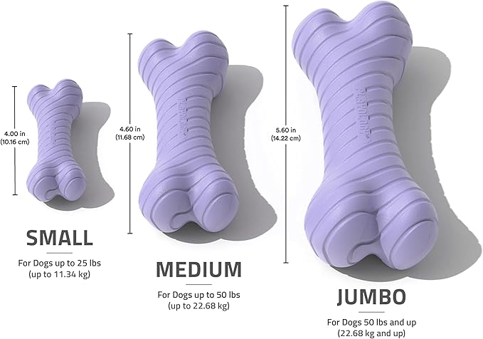 Playology Dog Toys | Dual Layer Bone Durable Chew Toy Bone for Dogs (Value 2-Pack) | Small Lamb Scented Toy - Easy to Clean and Made from Non Toxic Materials