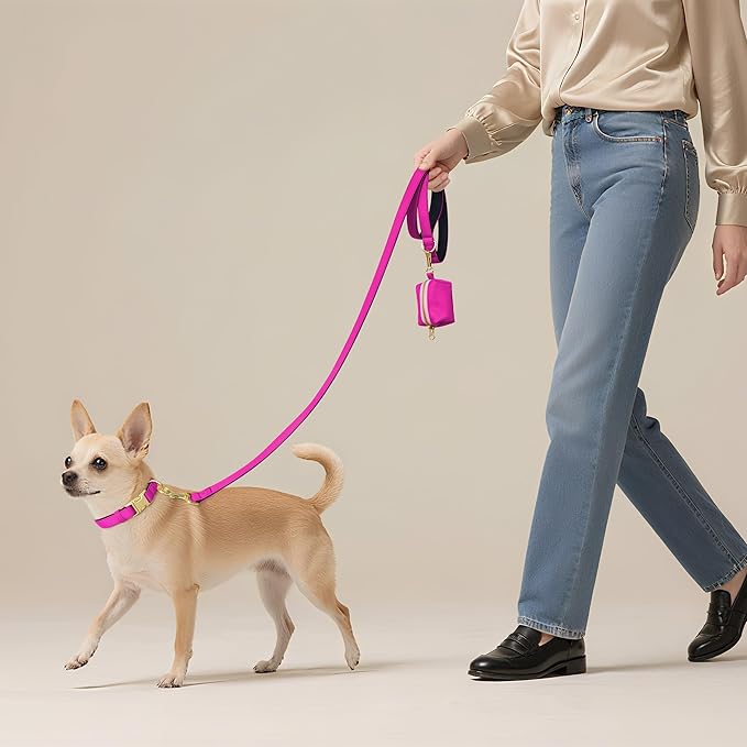 Didog Soft Padded Dog Collars for Small Dogs, Colorful and Durable Dog Collar with Quick Release Buckle, Light and Breathable for Daily Walking, Rose Purple, S