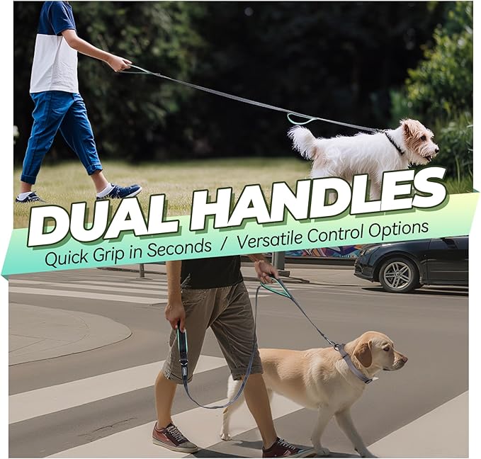 VIVAGLORY Twingrip Dog Leash, Double Handle Dog Leash for Training & Walking with Traffic Handle & 2 Loop, Traffic Control Reflective Heavy Duty for Puppy Pet, 4ft x 1/2in, Grey