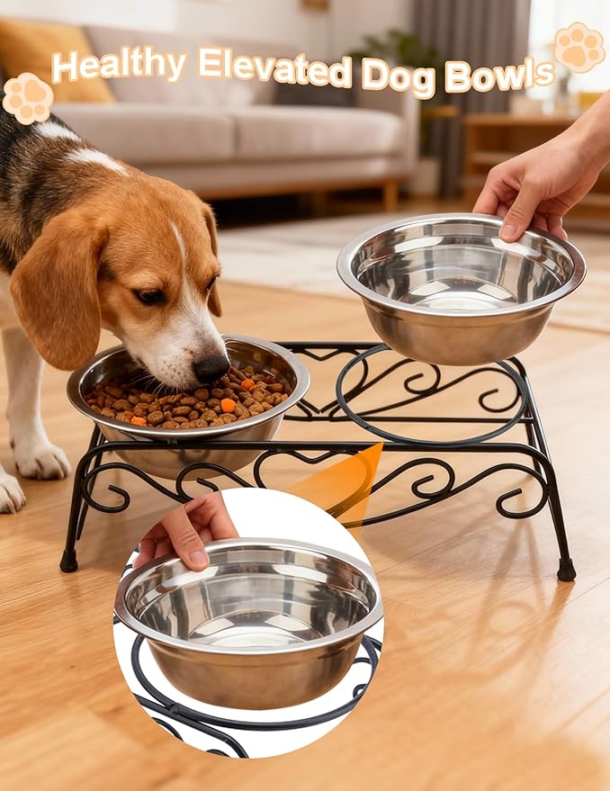 Small Dog Bowls with Metal Stand for Small Breeds Cats and Puppies 3.4 Inch Fixed Height Elevated Feeder with 2 Removable Stainless Steel Bowls