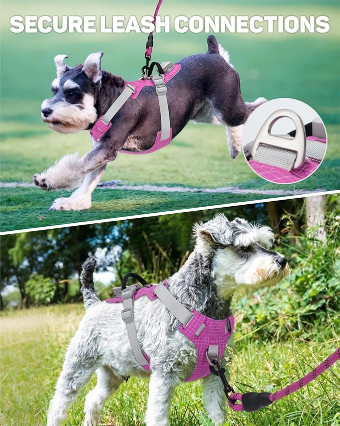 TagME No Pull Dog Harness with 2 Leash Clips,Lightweight & Visible for All-Day Walking,No Choke Pet Vest Includes AirTag Holder for Small Dogs,Fuchsia Pink