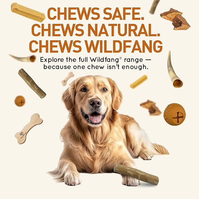 Wildfang® Coffee Wood Dog Chew, Medium – Tough Chew Toys for Aggressive Chewers, Dog Teething Toys for Puppies, Training for Chewing Muscles, Coffee Tree Sticks for Medium Dogs (33–55 lbs), Pack of 3