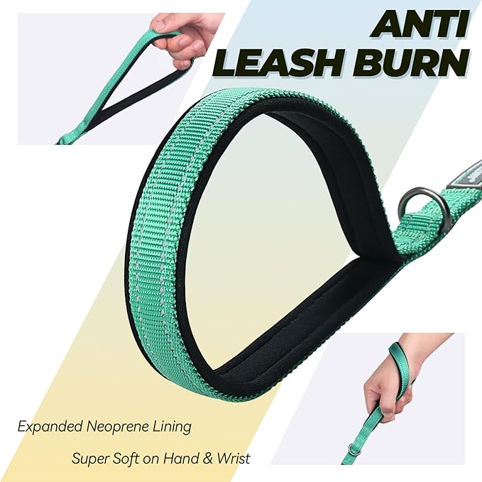 VIVAGLORY Twingrip Dog Leash, Double Handle Dog Leash for Training & Walking with Traffic Handle & 2 Loop, Traffic Control Reflective Heavy Duty for Puppy Pet, 6ft x 1/2in, Turquoise