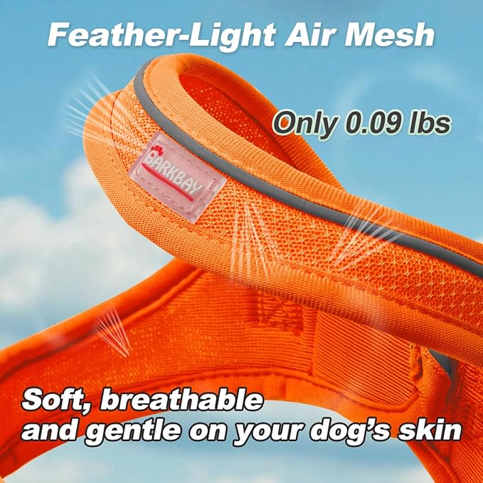 Dog Harness and Leash Set,Step in Small Sized Dog Harness,Soft Mesh,No-Chock,Reflective Adjustable,Secure with Hook & Loop Fastener,Puppy Vest for Small,Medium Dogs(Orange,XS)