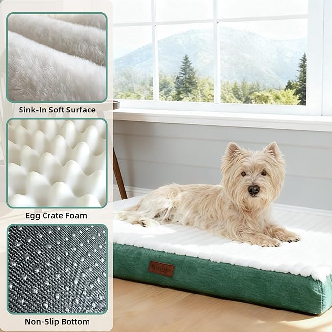Orthopedic Dog Bed with Firm High-Density Egg Crate Foam, Machine Washable Cover & Non-Slip Bottom for Medium Breeds (Green, 29" L x 18" W x 3" H)