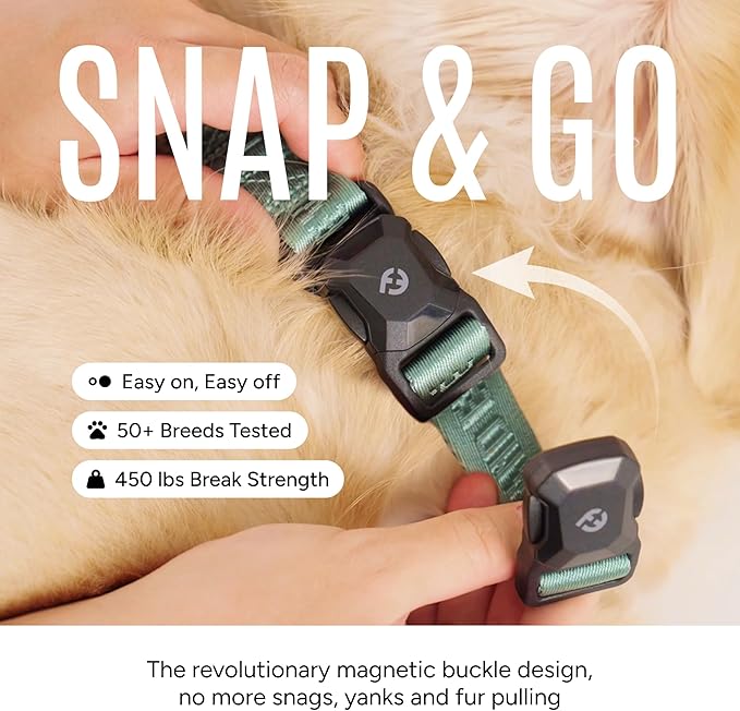 2026 New Edition, Fei & Eve MagEase Dog Collar - Patented Magnetic Buckles | Fur-Safe | Premium 210D Nylon | 450LB Escape-Proof | Adjustable Fit | Medium (Glacier Green)
