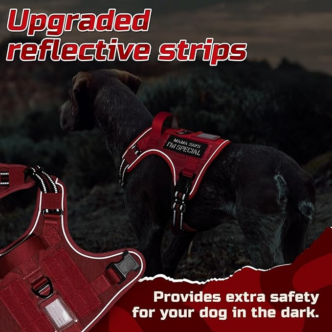 rabbitgoo Tactical Dog Harness for Small Dogs, No Pull Military Service Vest with Handle & Molle, Easy Control for Training Walking, Adjustable Reflective Straps, Red, S