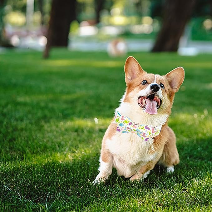 Elegant little tail Dog Collar- Cute Dinosaur Dog Collar with Bow for Small Dogs,Male Adjustable Cotton Summer Pet Bow Holiday Puppy Collar for Small Medium Large Dogs
