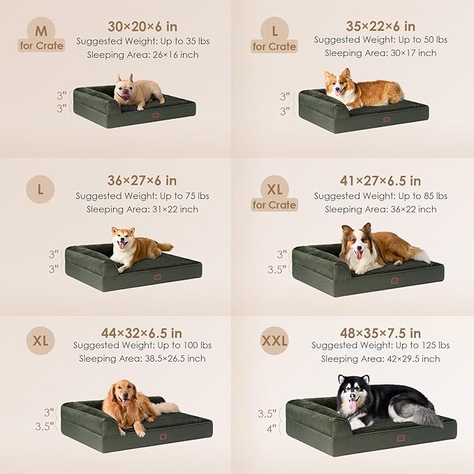 EHEYCIGA Orthopedic Dog Bed Medium Size Dogs, Memory Foam Dog Bed with Washable Removable Cover, Waterproof Pet Sofa Couch for Crate with Nonskid Bottom, 30x20x6, Dark Green