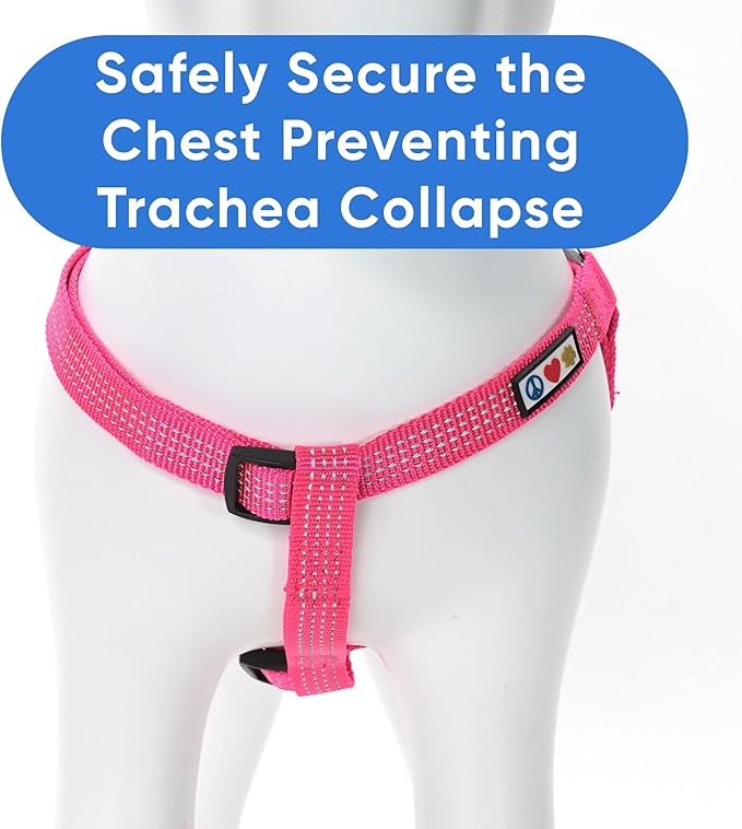 Pawtitas Reflective Step-in Dog Harness – Adjustable No-Pull Vest for Puppies to Seniors, Safe & Comfortable, XS Pink