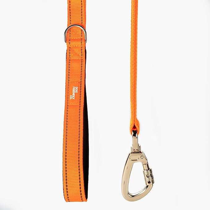 DF Co. Close Control Short Trainer Dog Leash | Strain Free & Shock Resistant, Durable Material, 65cm in Length, Heavy Duty Clips & D-Ring (Orange, Small)