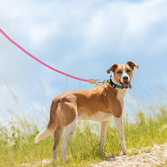 Mile High Life Rope Leash with Genuine Leather Connection, 6 FT/5 FT/4 FT, Heavy Duty Leash for Small Medium & Large Dogs (Hot Pink,60 Inch)
