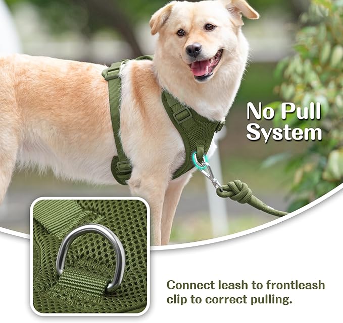 No Pull Dog Harness for Small Medium Large Dogs - Adjustable 2 Layer Mesh Dog Vest with Dual Clip, Escape Proof, Quick Release, Lightweight Breathable Mesh for Walking Hiking (Misty Green,M)