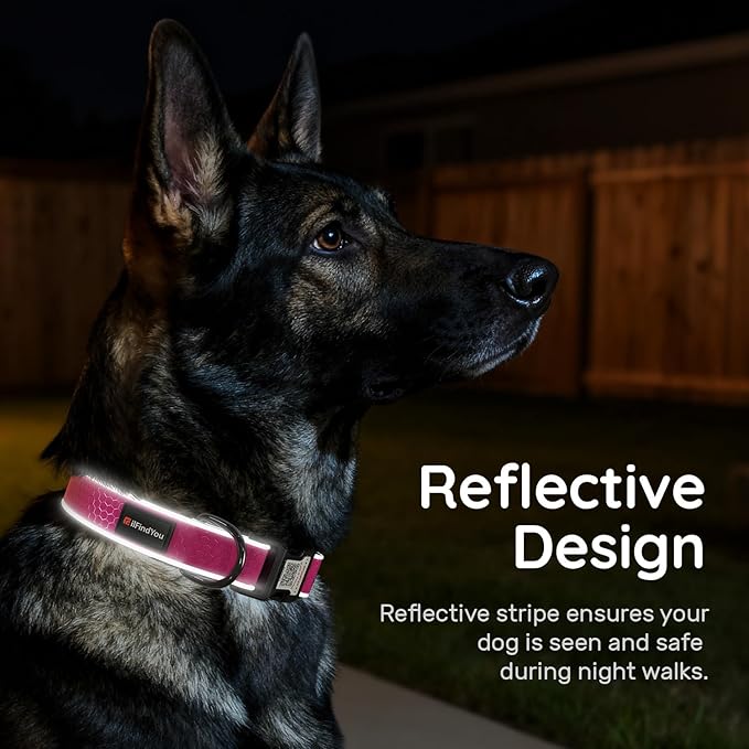 Reflective Dog Collar with QR Code Tag, Personalized Dog Collar, Safety Night Visibility, Anti-Loss Function (Rose Red-02, Large)