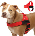 DF Co. Dog Harness | Chafe Resistant Webbing, Adjustable Neck & Chest, and Heavy Duty D-Ring | Sturdy, Comfortable, Easy to Use | Red, Size XXS
