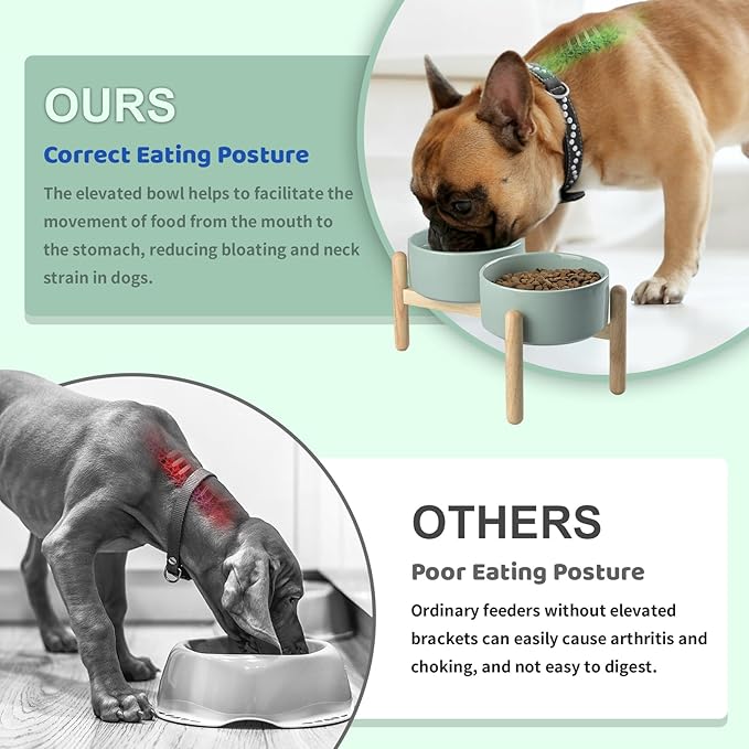 SPUNKYJUNKY Ceramics Elevated Dog Bowls with Wooden Stand Raised Bowl for Medium Large Dog Food and Water Pet Feeding Bowl(Double 60OZ Bowls,Light Green)