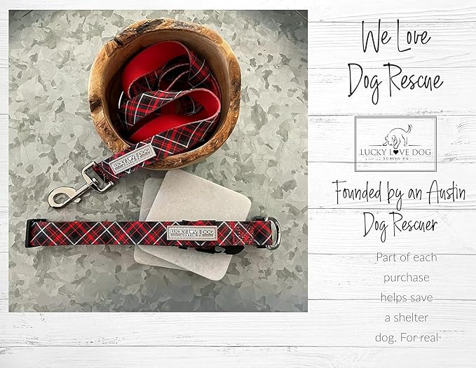 Lucky Love Dog Martingale Dog Collar & Leash - Adjustable, No-Slip, Durable, Comfortable, Soft Webbing, & Stylish Patterned Collar & Leash Set for Male and Female Dogs - Heywood Combo, Medium