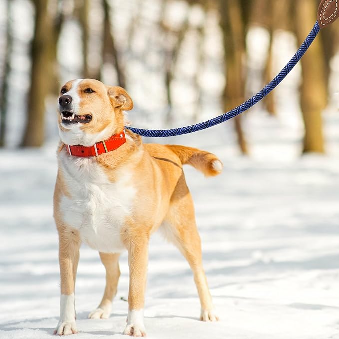 Mile High Life Rope Leash with Genuine Leather Connection, 6 FT/5 FT/4 FT, Heavy Duty Leash for Medium & Large Dogs (Blue, 48 Inch)