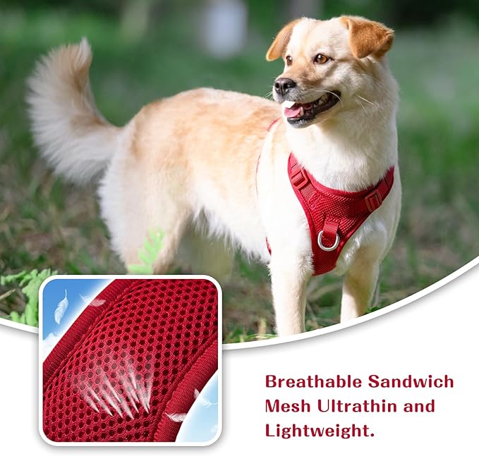 No Pull Dog Harness for Small Medium Large Dogs - Adjustable 2 Layer Mesh Dog Vest with Dual Clip, Escape Proof, Quick Release, Lightweight Breathable Mesh for Walking Hiking (Burgundy Red,M)