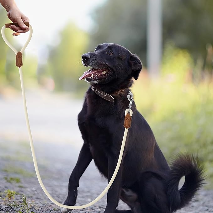Mile High Life Leather Dog Leash, Heavy Duty Strong Genuine Leather Handle Rope Leash Soft and Comfortable for Small Medium Large Dogs (Cream White, 48 Inch)