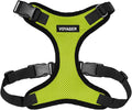 Voyager Step-in Pet Harness - All Weather Mesh, Adjustable Step in Harness for Cats and Dogs by Best Pet Supplies - Lime Green/Black Trim, XL