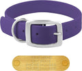 Regal Dog Products Medium Purple Waterproof Dog Collars with Custom Engraved Name Plate | Vinyl Coated, Anti, Easy to Clean Personalized Dog Collar - Other Sizes for Small & Large Dogs