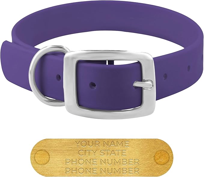 Regal Dog Products Medium Purple Waterproof Dog Collars with Custom Engraved Name Plate | Vinyl Coated, Anti, Easy to Clean Personalized Dog Collar - Other Sizes for Small & Large Dogs