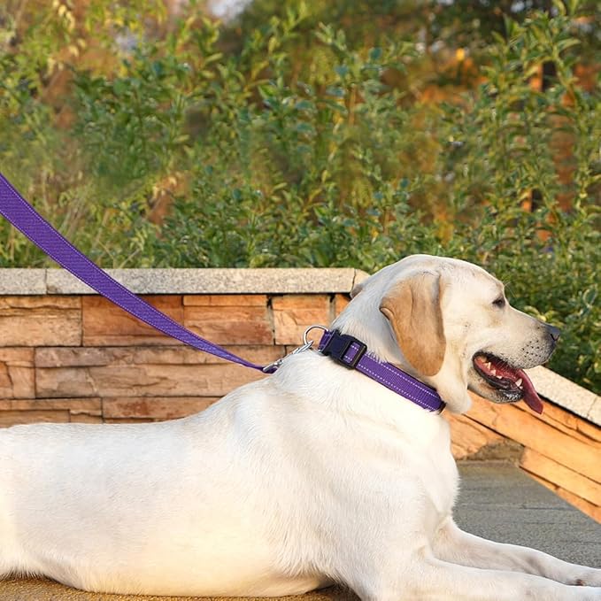 Dog Leash 6 FT Padded Handle Nylon Reflective Dogs Leashes for Large Dogs Purple
