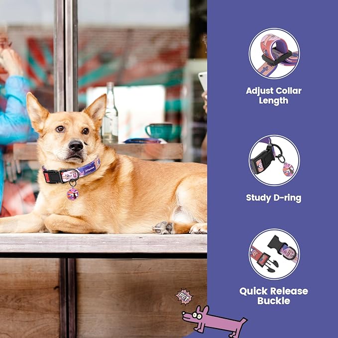 Dog Collar with QR Code ID Tag, Smart Pet ID Collar with Free App Option, Soft Padded Adjustable Dog Collar with Secure Metal D-Ring & Quick Release Buckle for Small Medium Large Dogs (Purple, S)