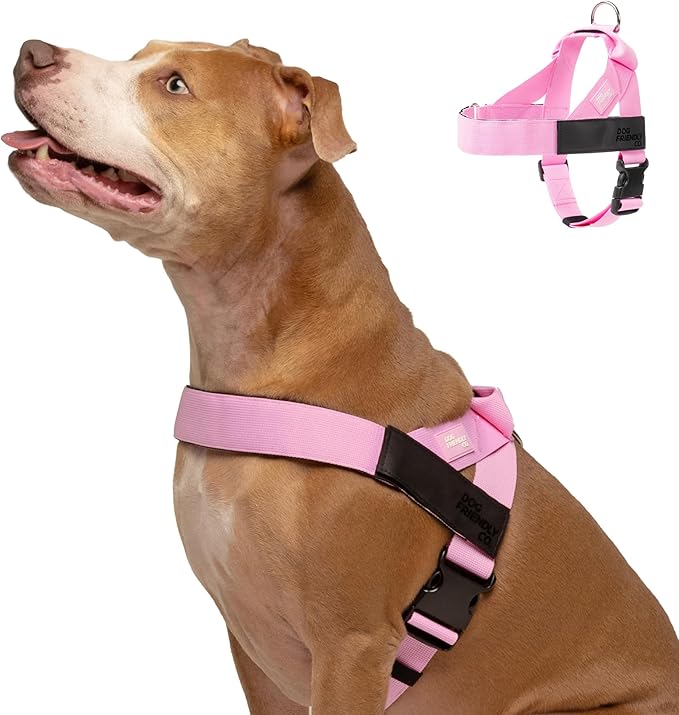 DF Co. Dog Harness | Chafe Resistant Webbing, Adjustable Neck & Chest, and Heavy Duty D-Ring | Sturdy, Comfortable, Easy to Use | Pink, Size XL