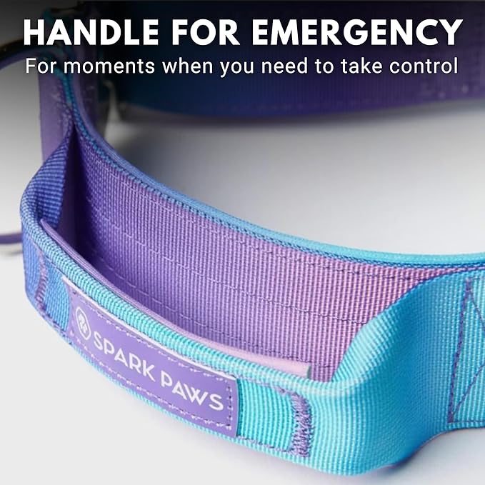 Spark Paws Tactical Dog Collar - Heavy Duty, Premium Quality, Thick and Durable for Large and Medium Dogs - 90's Retro - L