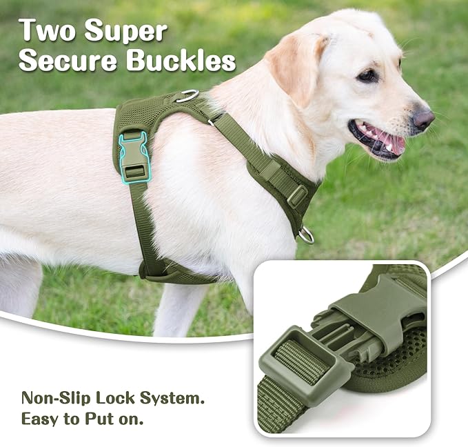 No Pull Dog Harness for Small Medium Large Dogs - Adjustable 2 Layer Mesh Dog Vest with Dual Clip, Escape Proof, Quick Release, Lightweight Breathable Mesh for Walking Hiking (Misty Green,S)