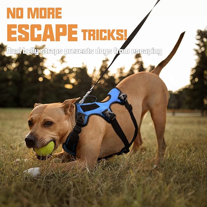 AUROTH Escape Proof No Pull Dog Harness with Lift Handle, Soft Padded Reflective Adjustable Vest, Large for Walking Hiking Training