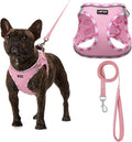 AMTOR Small Dog Harness with Leash Set, No Escape Easy Walk Puppy Harnesses for Training Walking, Step-in Reflective Soft Dogs Vest for XS S Medium Extra-Small Large Sized Dog(XS Size,Pink/White)